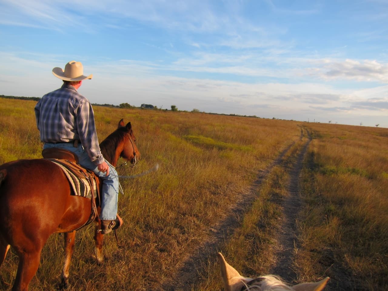 Trendy Western Wear Canada for Farm, Ranch, and Rodeo Life