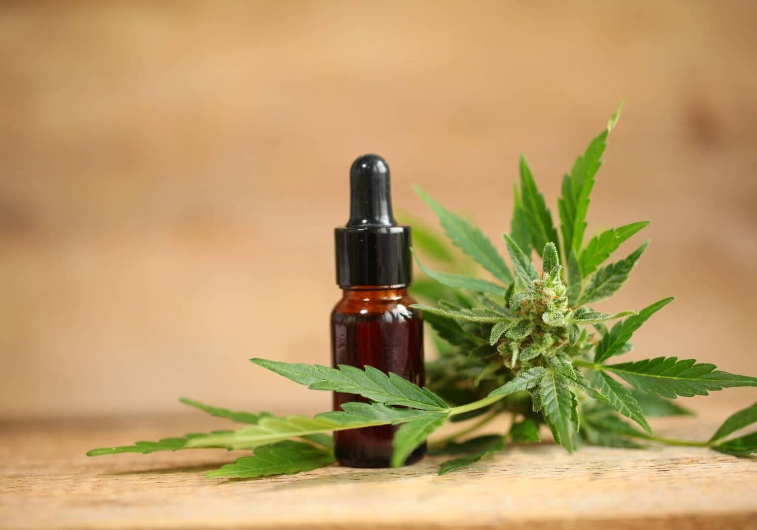 CBD Miami – Discover the Best Infused Cakes and Edibles at Miami Rave