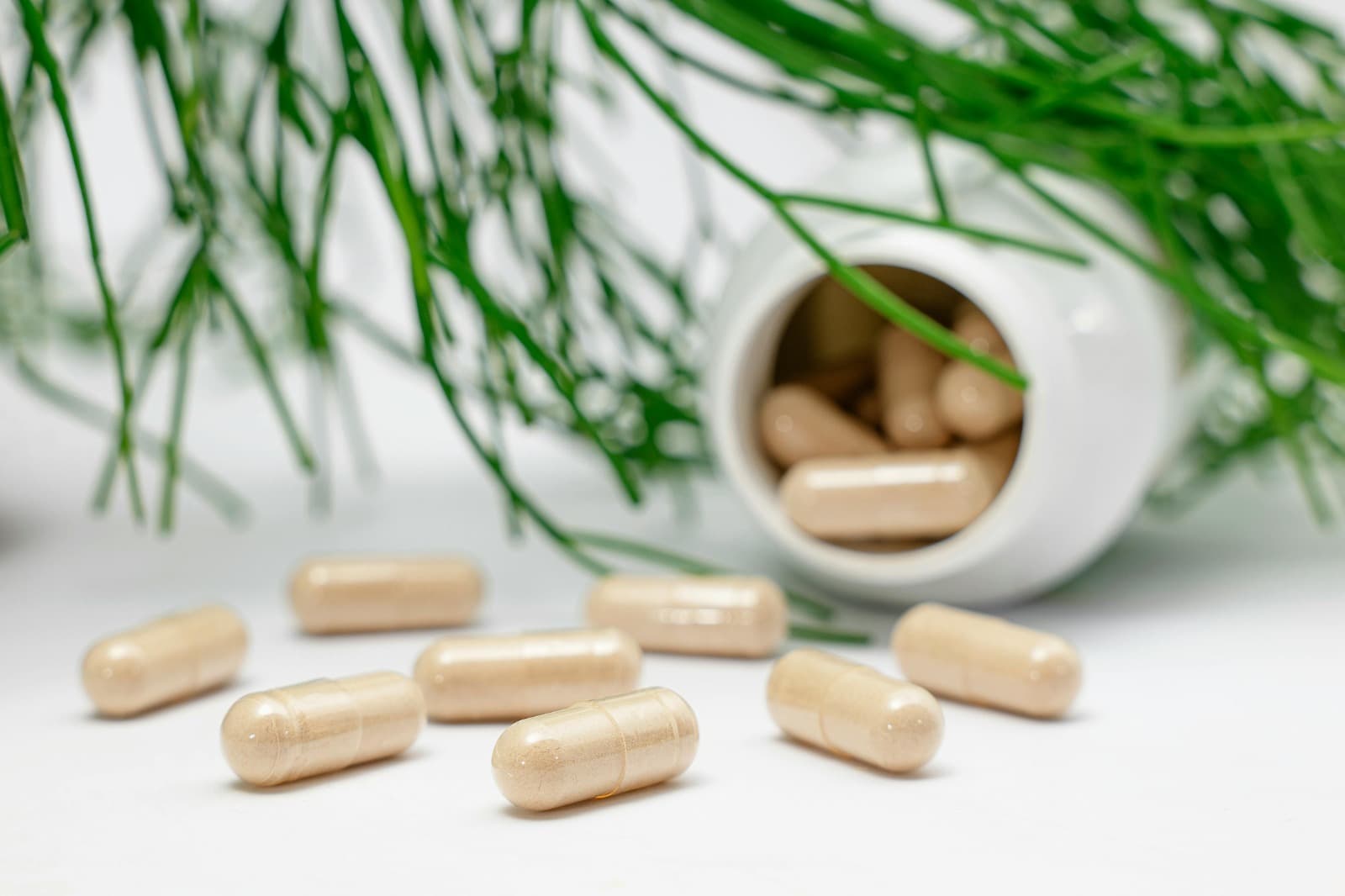 Shop Maxi Health Kosher Vitamins for Pure, Balanced Daily Support