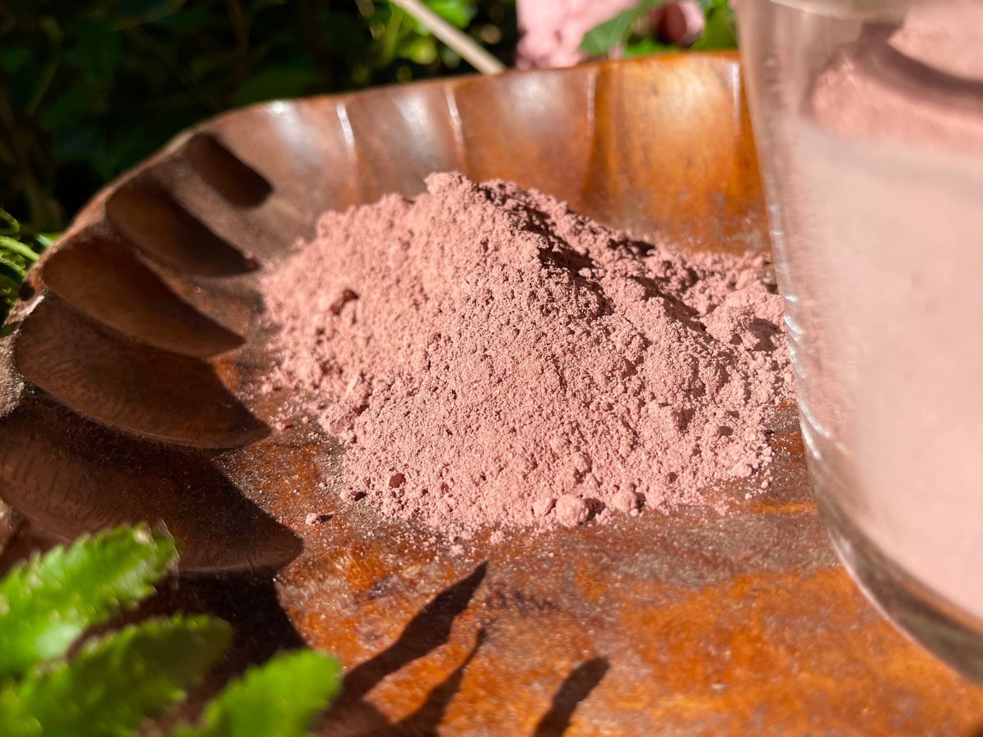 Crafting Natural Colors Using Mimosa Hostilis Root Bark