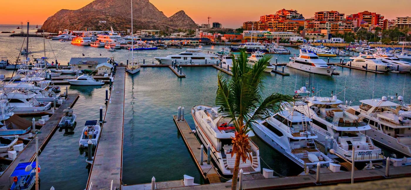 Yellowfin Tuna Fishing Cabo – Expert Tips from Cabo Verified