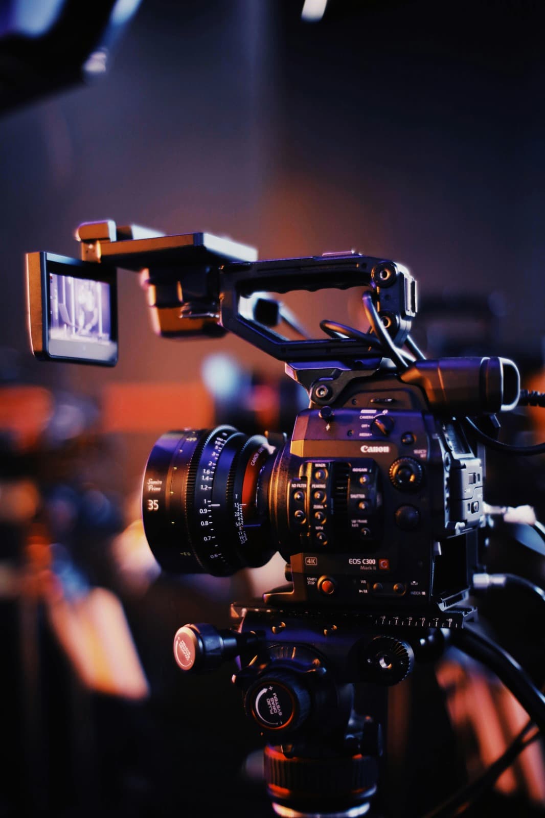 Learn Video Editing and Motion Graphics With No Prior Experience
