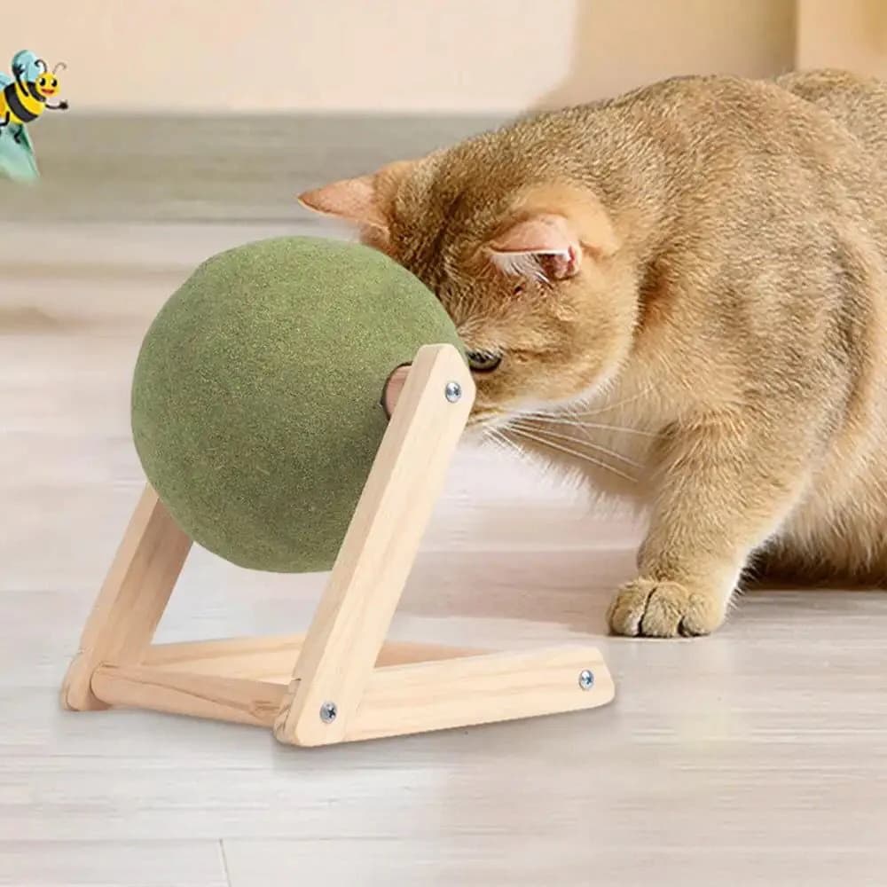Cat Stores Online – Explore Quality Cat Essentials at Catshoponline