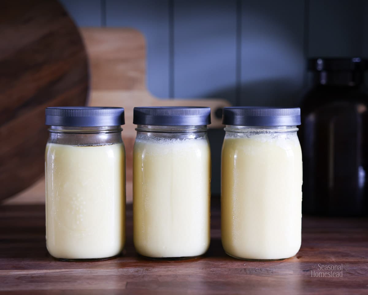 Hydratation naturelle avec tallow honey balm