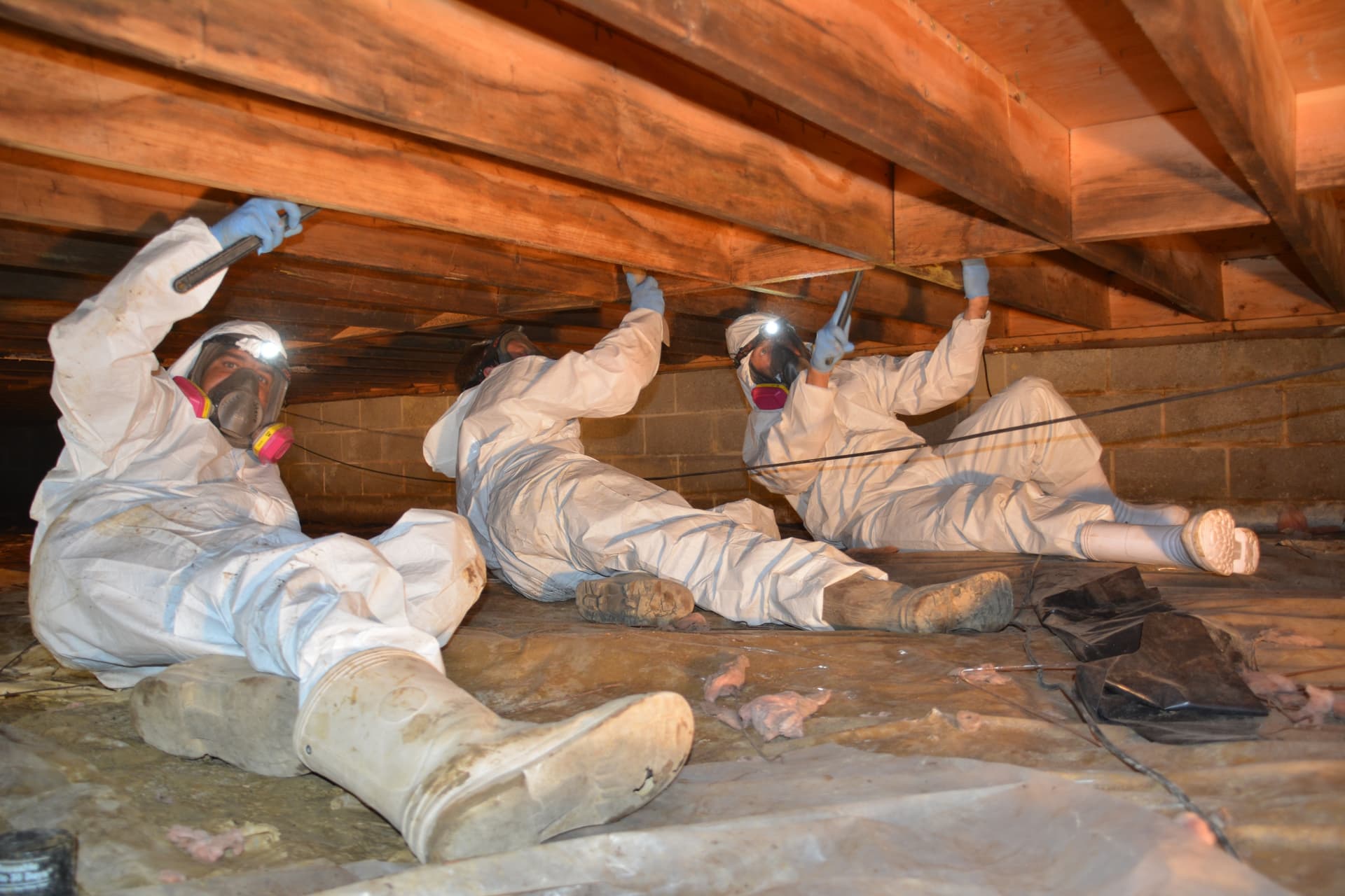 Crawl Space Restoration Providing Reliable Protection Against Mold