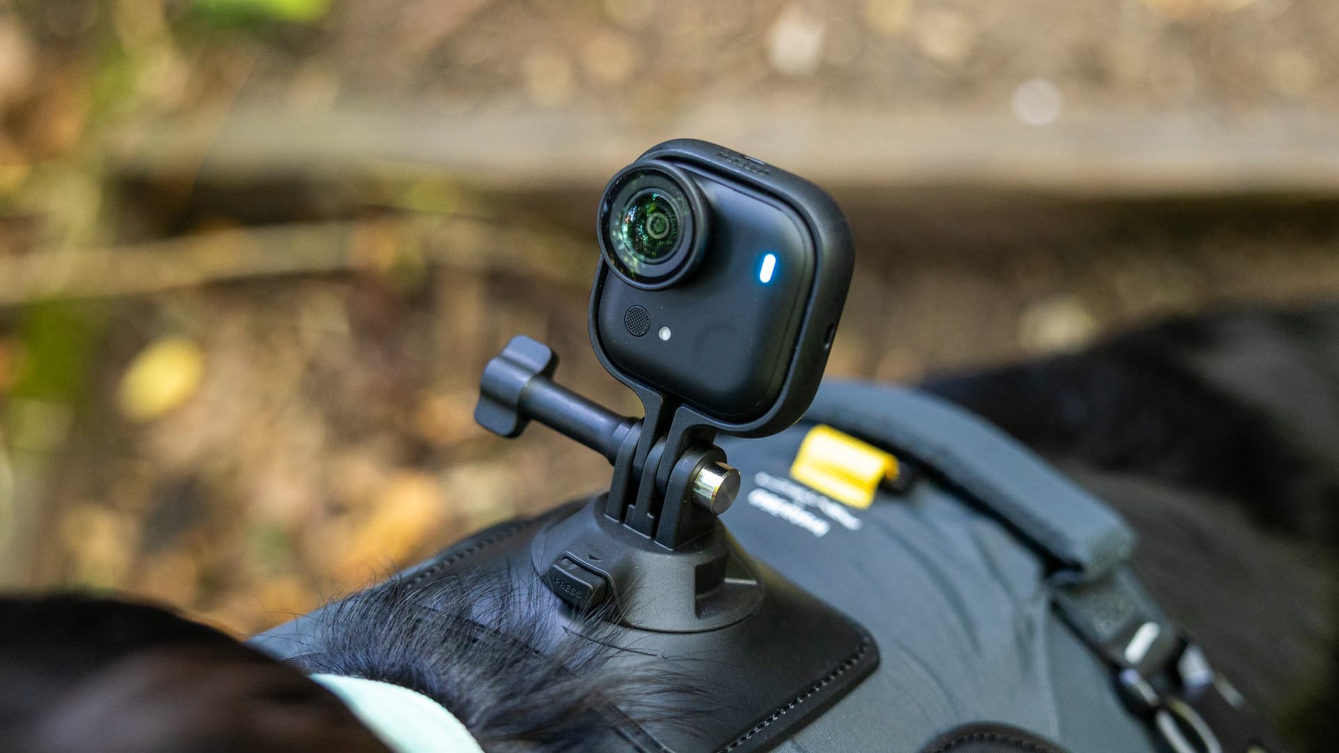 Insta360 PH Official Guide: Capture Life in Every Direction
