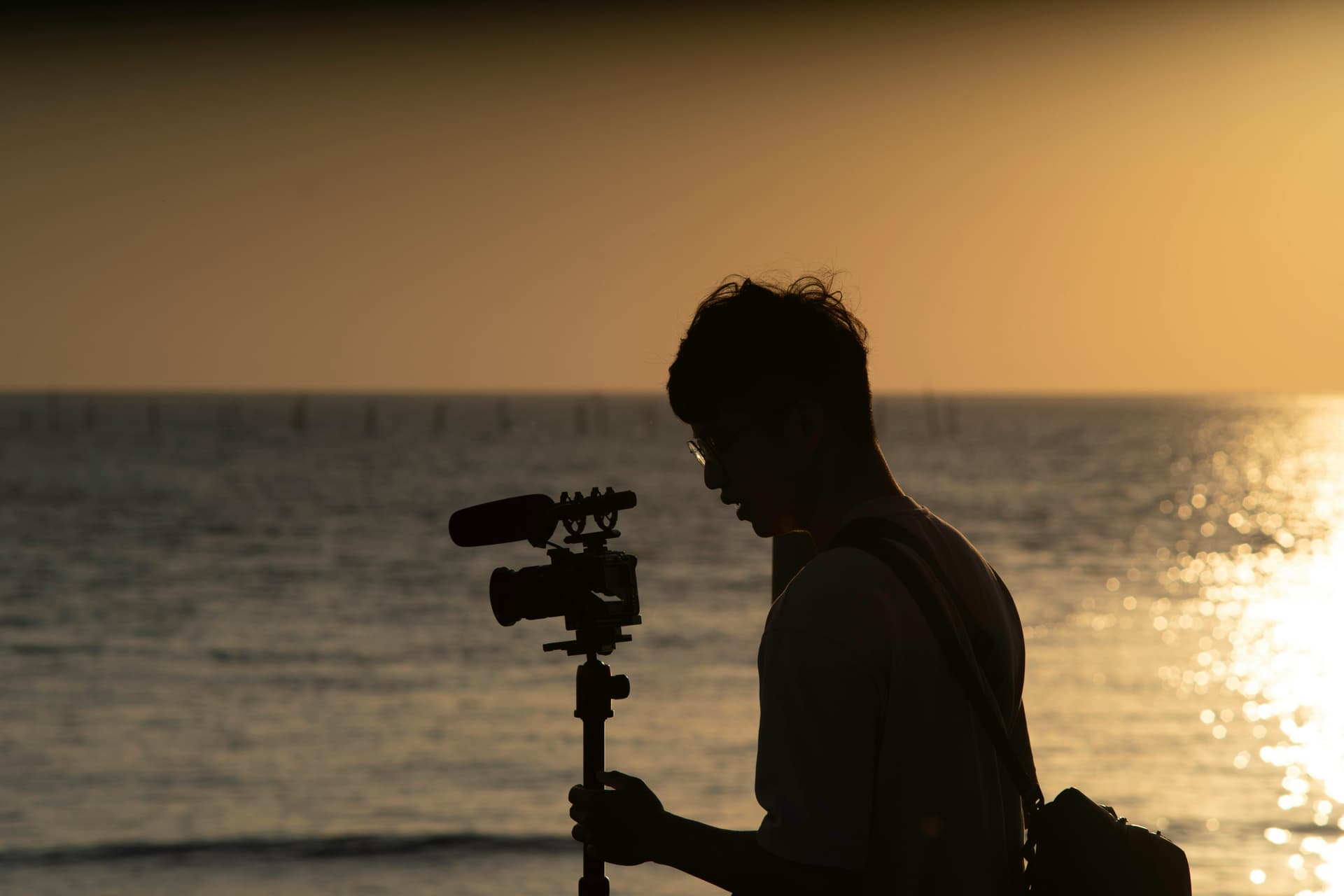 Adobe Premiere Pro Training Course – Professional Editing Skills Online
