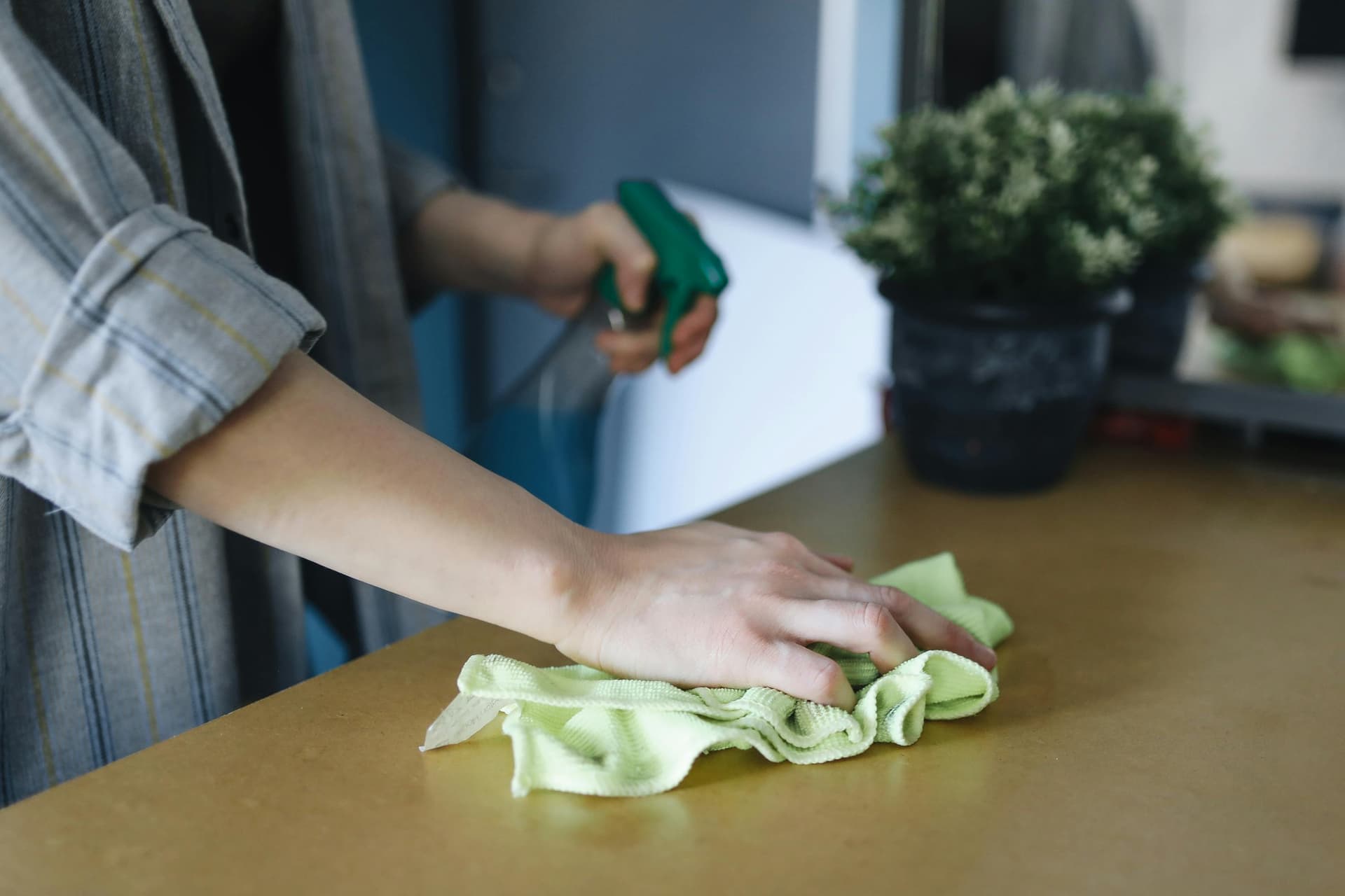 ECO Clean Ellie’s House Cleaning: Clean Homes, Happy Families