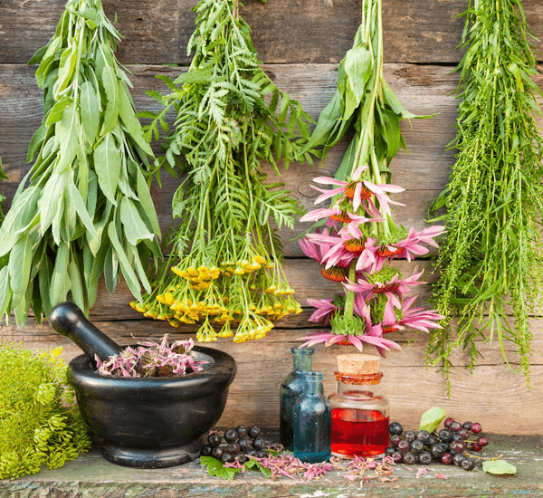 The Future of Botanical Ingredients in Functional Nutrition