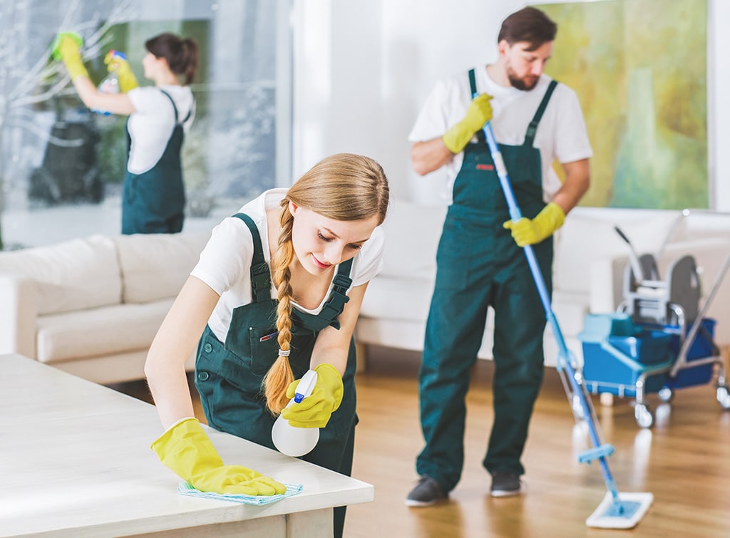 Comprehensive Guide to Cleaning Services Calgary for a Spotless Home