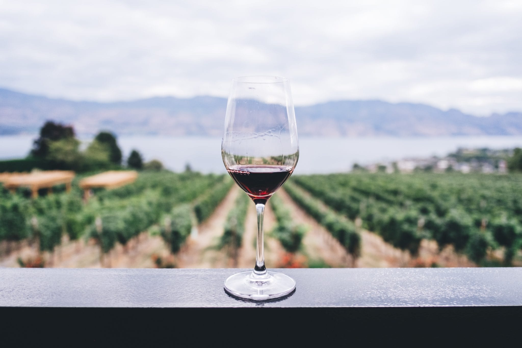 Discover Vineyards with a Top-Rated Wine Tour Limo Service