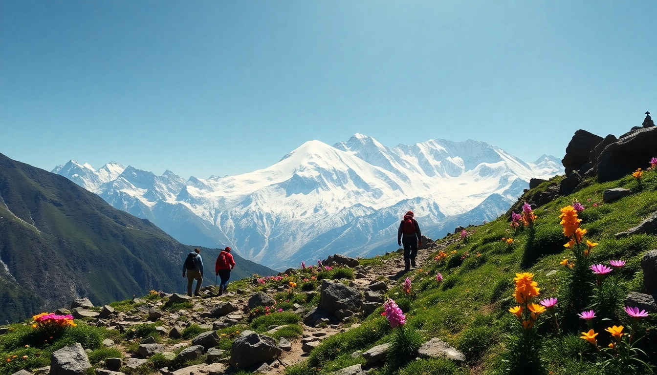 Trekkers enjoying the stunning views on the goechala trek near Kanchenjunga mountains.