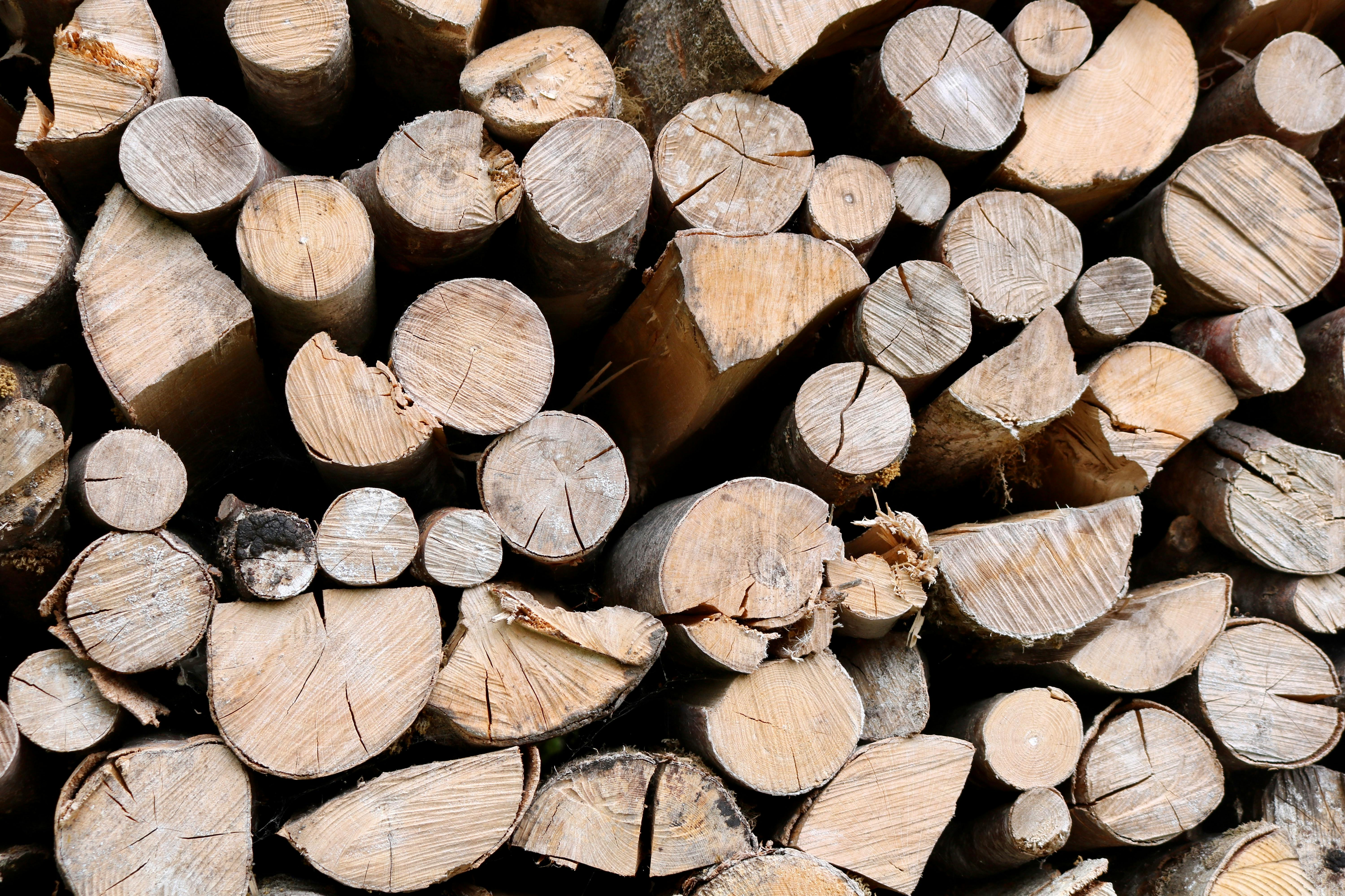 Firewood Perfect for Winter Heating Needs