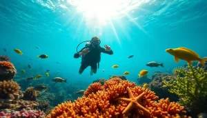 Scuba diver at https://marvinscubaexpeditions.com interacting with marine life in vibrant coral reef.