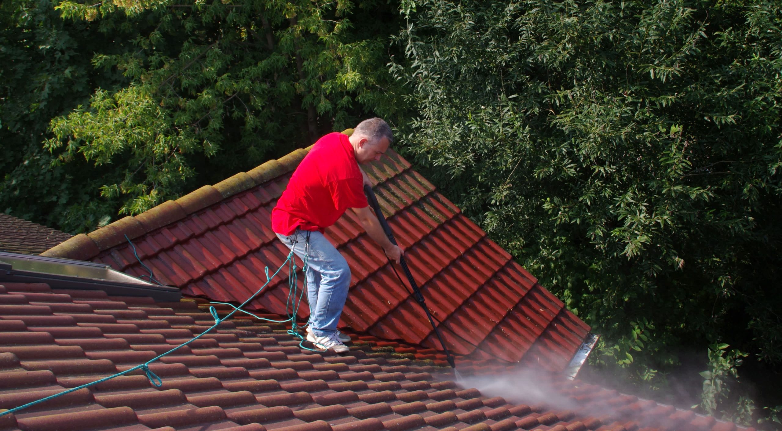 Professional Roof Cleaning in Springfield NJ — Protect Your Investment